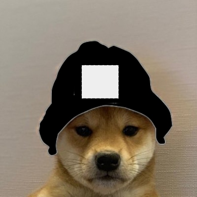 Dog with Hat Meme